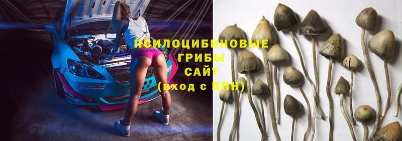 ОМГ ОМГ ссылка  Буйнакск  Галлюциногенные грибы MAGIC MUSHROOMS 