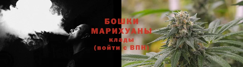 Бошки марихуана White Widow  Буйнакск 